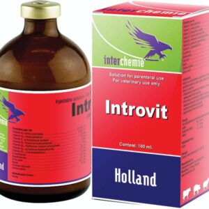 Introvit
