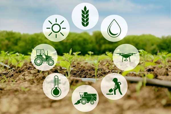 cria ção de projectos agricolas cria ção de projectos agricolas