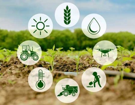 cria ção de projectos agricolas